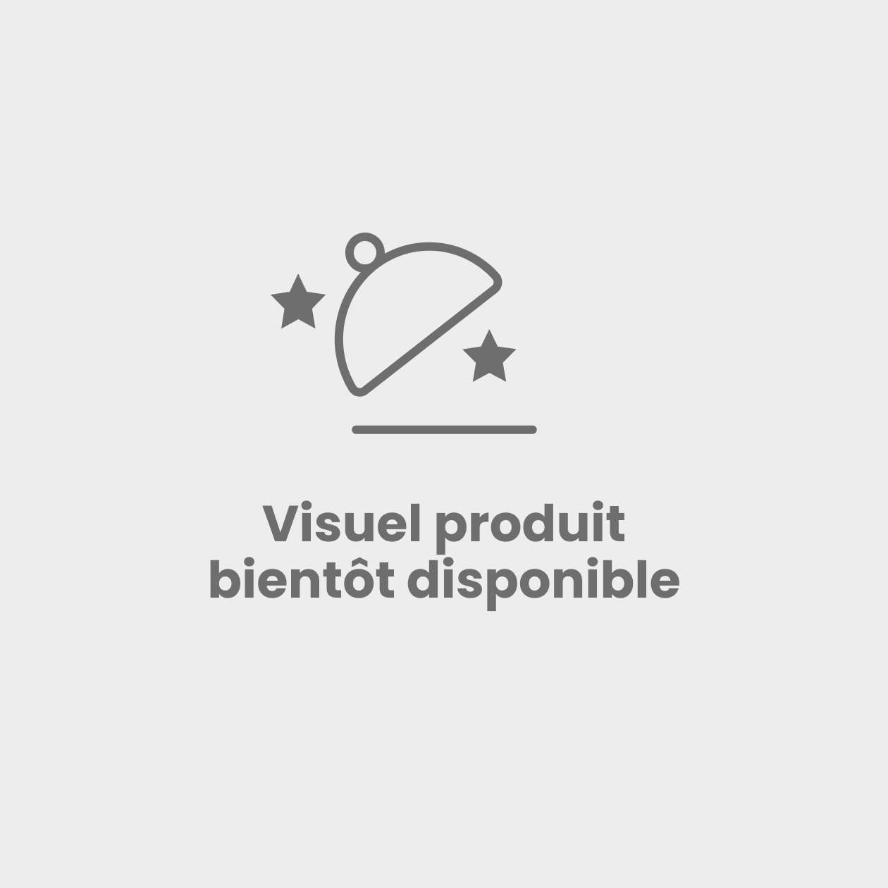 Pagnote de wraps végétarienne estivale 30 pièces